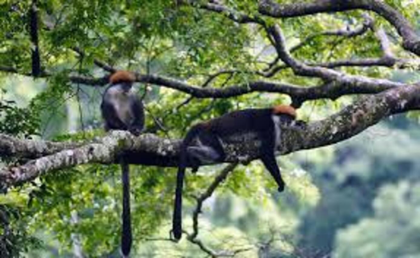 udzungwa hiking tours